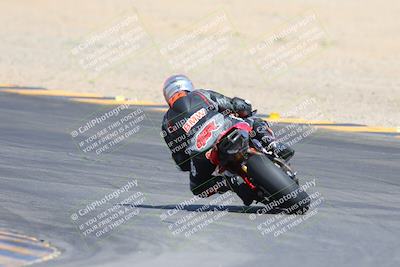 media/Mar-10-2024-SoCal Trackdays (Sun) [[6228d7c590]]/9-Turn 8 Backside (1150am)/